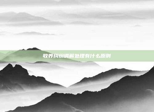 收養糾紛調解處理有什么原則