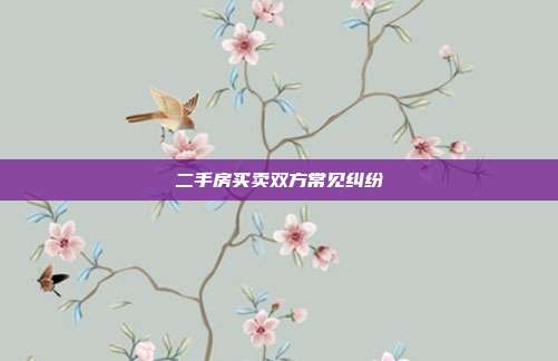 二手房買賣雙方常見糾紛