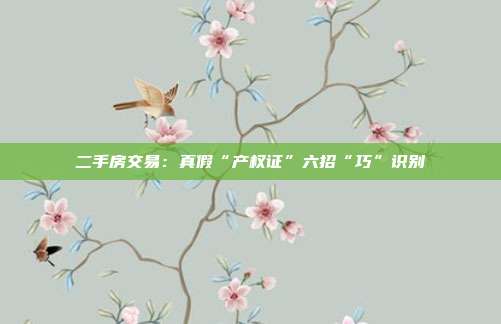 二手房交易:真假“產(chǎn)權(quán)證”六招“巧”識別