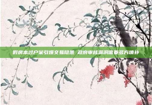 假房本過戶案引爆交易隱患 政府審核漏洞需要多方填補