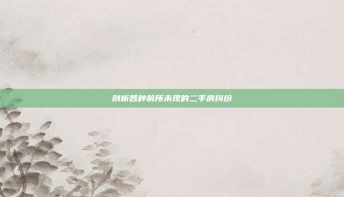 剖析各種前所未現的二手房糾紛