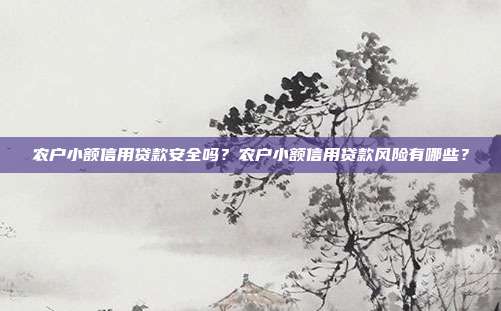 農戶小額信用貸款安全嗎?農戶小額信用貸款風險有哪些?