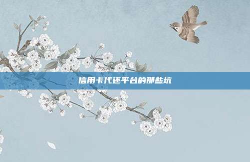 信用卡代還平臺的那些坑