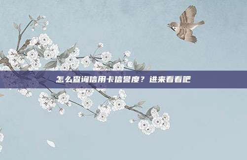 怎么查詢信用卡信譽度？進來看看吧