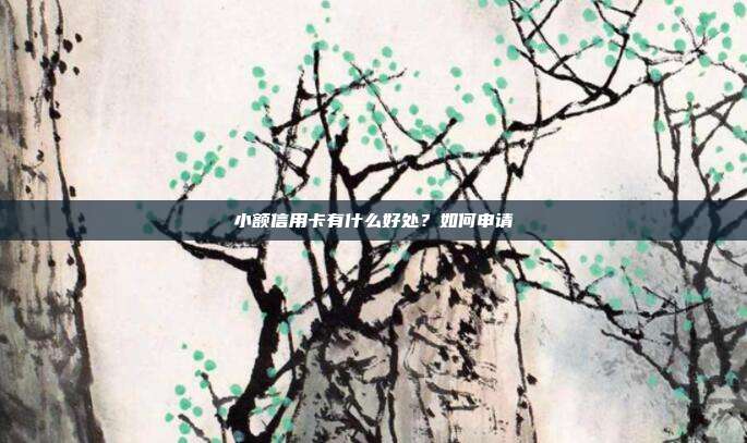 小額信用卡有什么好處?如何申請