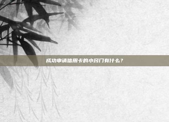 成功申請信用卡的小竅門有什么?