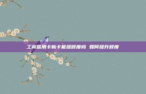 工商信用卡新卡能提額度嗎 如何提升額度