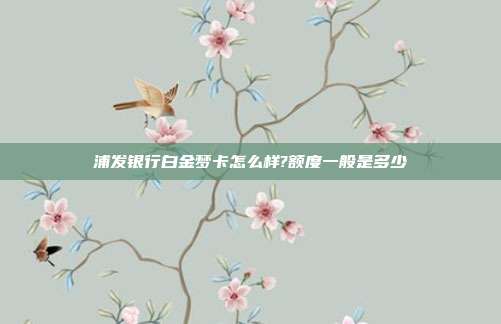 浦發銀行白金夢卡怎么樣?額度一般是多少