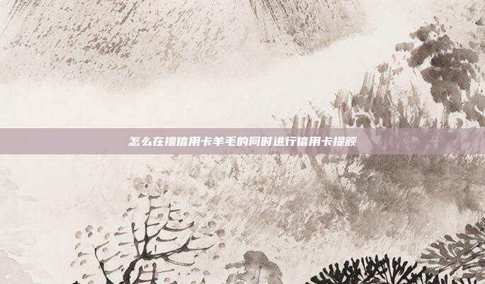 怎么在擼信用卡羊毛的同時進行信用卡提額