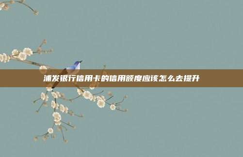 浦發銀行信用卡的信用額度應該怎么去提升