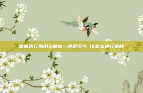 南京銀行信用卡額度一般是多少 該怎么進(jìn)行提額