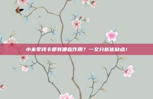 小米零錢卡都有哪些作用?一文分析優缺點!
