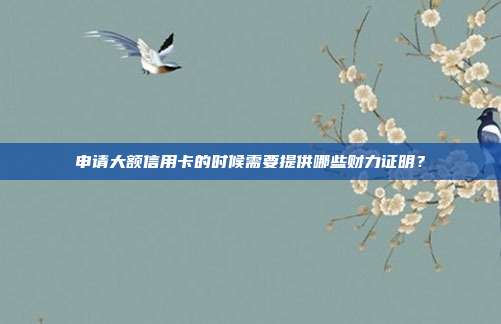 申請大額信用卡的時候需要提供哪些財力證明?