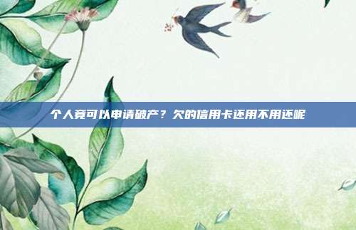 個人竟可以申請破產?欠的信用卡還用不用還呢