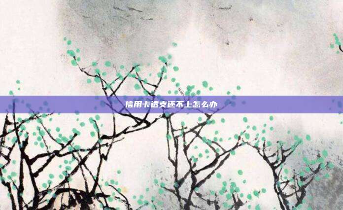 信用卡透支還不上怎么辦