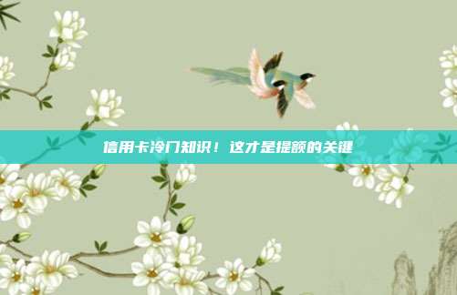 信用卡冷門知識！這才是提額的關鍵