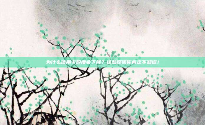 為什么信用卡額度會(huì)下降?這些原因你肯定不知道!