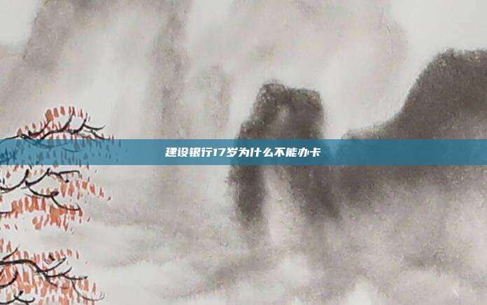 建設銀行17歲為什么不能辦卡