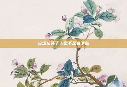 安逸花買了卡是不是會下款