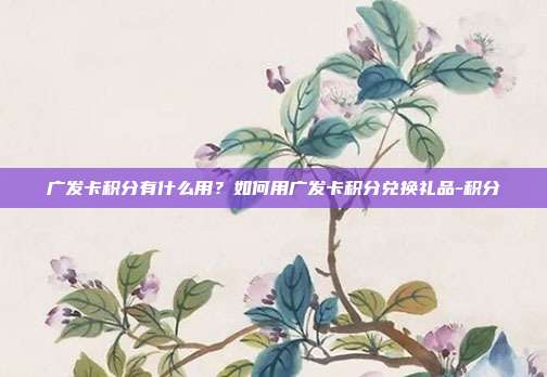 廣發卡積分有什么用？如何用廣發卡積分兌換禮品-積分
