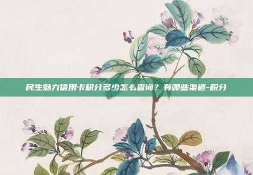 民生魅力信用卡積分多少怎么查詢?有哪些渠道-積分