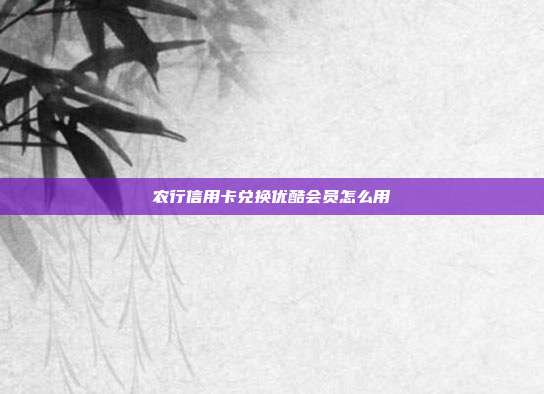 農行信用卡兌換優酷會員怎么用