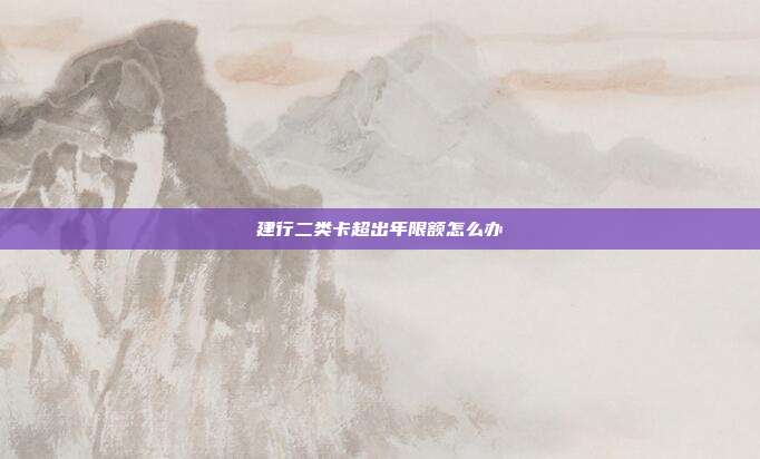 建行二類卡超出年限額怎么辦