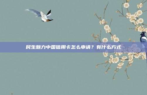 民生魅力中國信用卡怎么申請？有什么方式