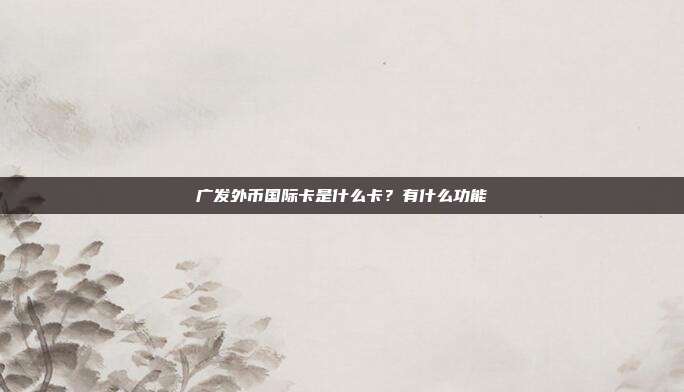 廣發(fā)外幣國際卡是什么卡？有什么功能