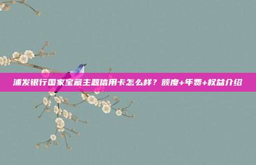浦發銀行國家寶藏主題信用卡怎么樣?額度+年費+權益介紹