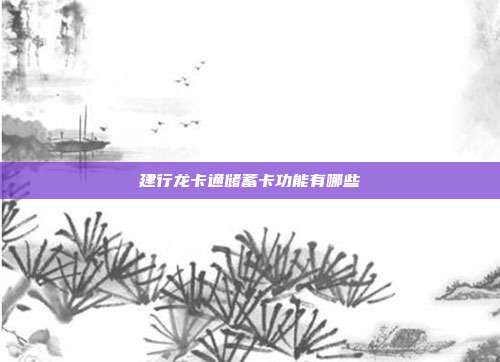 建行龍卡通儲(chǔ)蓄卡功能有哪些