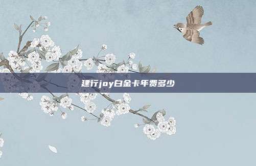 建行joy白金卡年費(fèi)多少