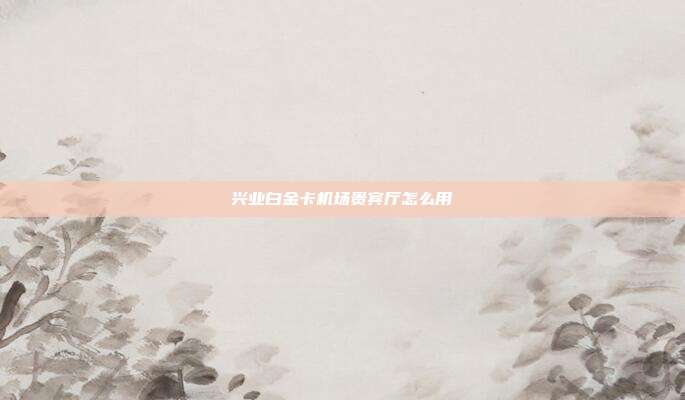 興業白金卡機場貴賓廳怎么用