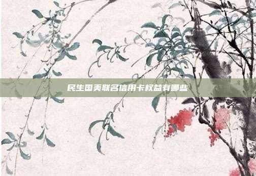 民生國(guó)美聯(lián)名信用卡權(quán)益有哪些