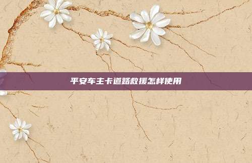 平安車主卡道路救援怎樣使用