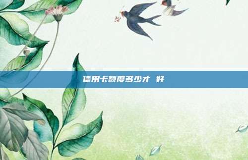 信用卡額度多少才 好