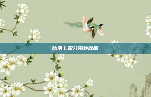 信用卡積分用處詳解