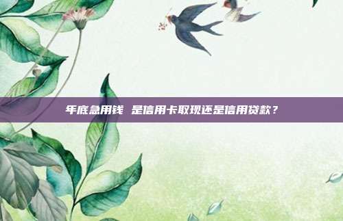 年底急用錢 是信用卡取現(xiàn)還是信用貸款？