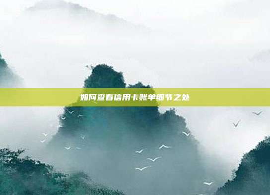 如何查看信用卡賬單細節之處