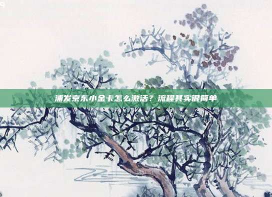 浦發京東小金卡怎么激活?流程其實很簡單