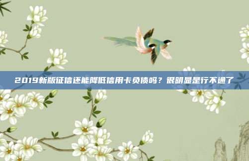 2019新版征信還能降低信用卡負(fù)債嗎?很明顯是行不通了