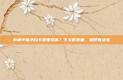 申請(qǐng)中信小白卡額度多高?下卡低額度,提額有法寶