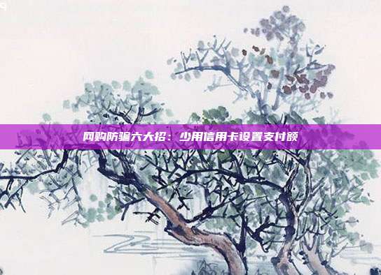 網購防騙六大招:少用信用卡設置支付額