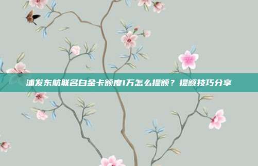 浦發(fā)東航聯(lián)名白金卡額度1萬(wàn)怎么提額?提額技巧分享
