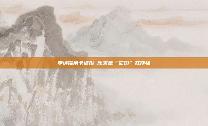 申請信用卡被拒 原來是“它們”在作怪