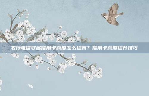 農(nóng)行電信聯(lián)名信用卡額度怎么提高？信用卡額度提升技巧