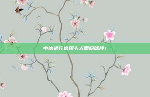 中信銀行信用卡大面積降額！
