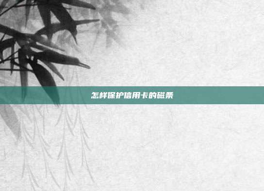 怎樣保護(hù)信用卡的磁條
