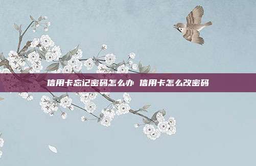 信用卡忘記密碼怎么辦 信用卡怎么改密碼
