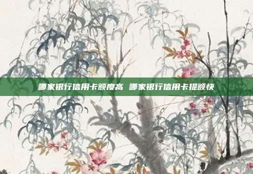 哪家銀行信用卡額度高 哪家銀行信用卡提額快